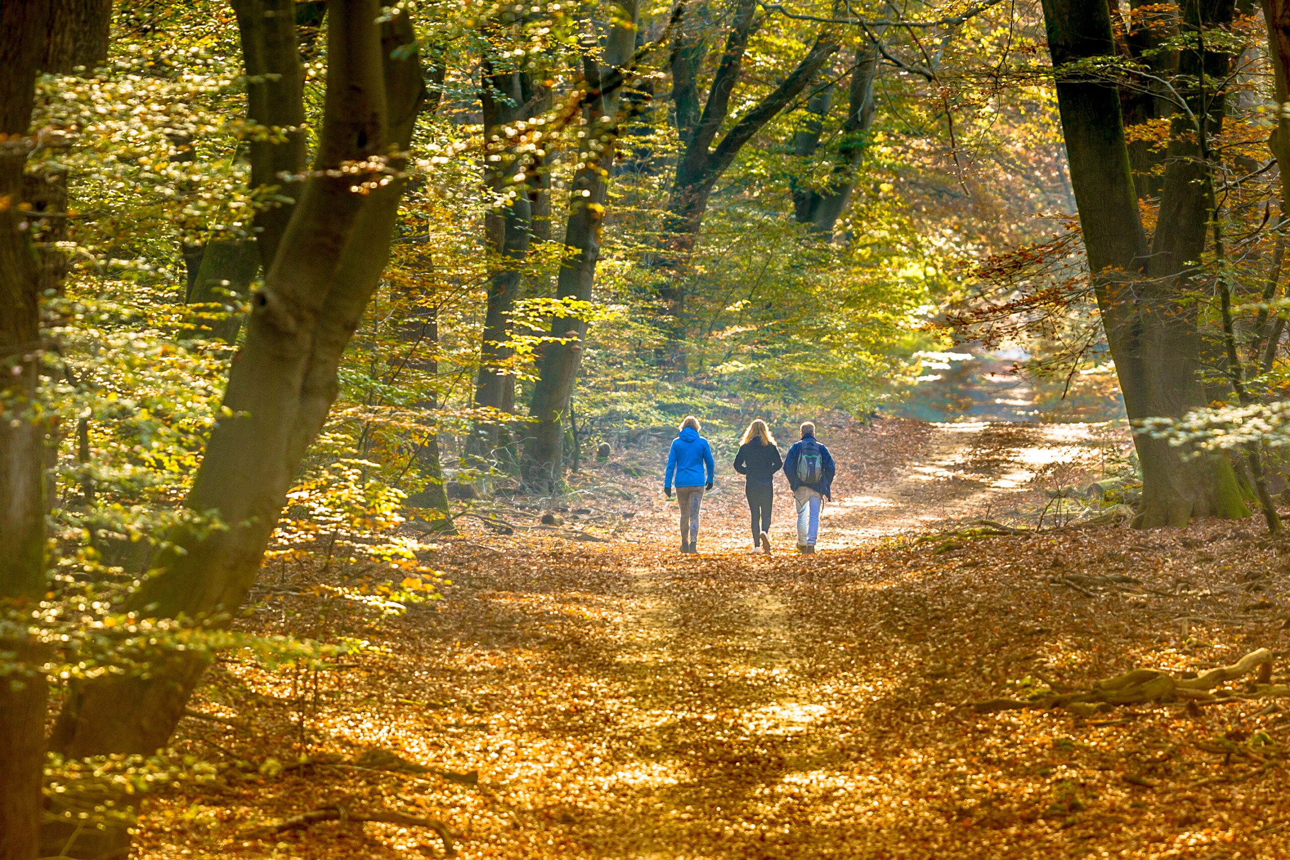 ACCUEIL groupe sophro promenade